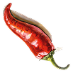 ingredient